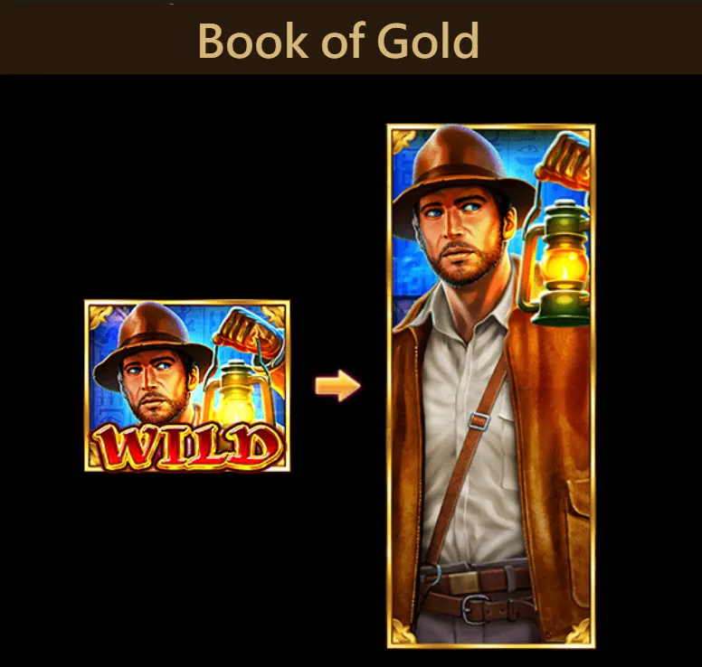 Book of Gold Expanding symbol