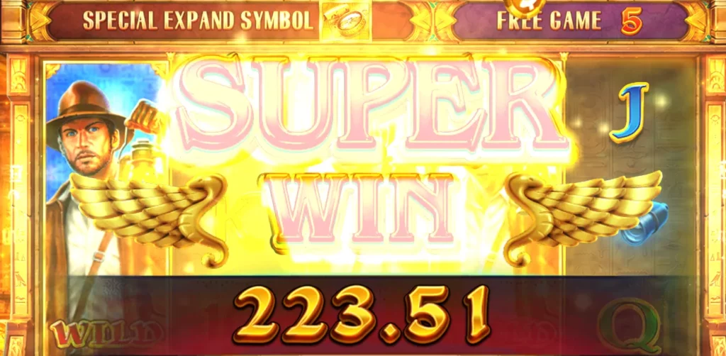 Book of Gold slot win